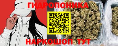 MESCALINE Ачхой-Мартан