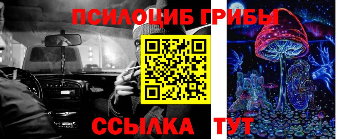 Псилоцибиновые грибы Cubensis Богородск